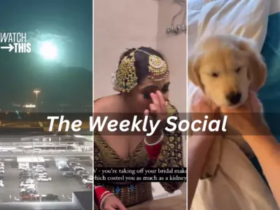 Your Weekly Dose of Viral Video Goodness