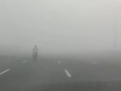 Fog Delhi