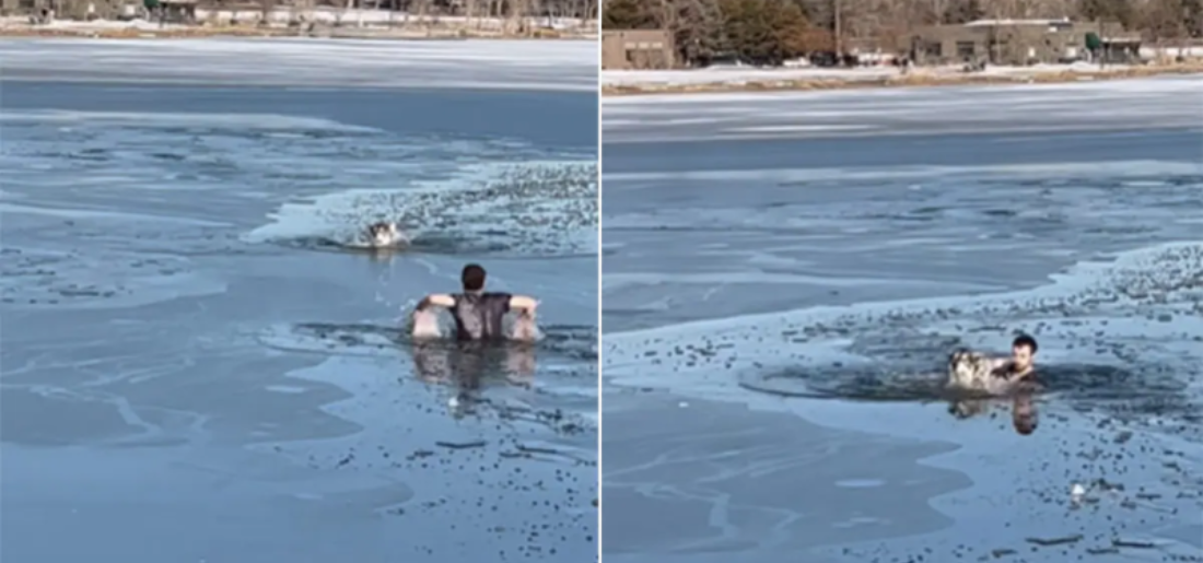 Man Dives Into Freezing Lake To Save Dog