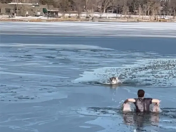 man saves dog trapped in lake 