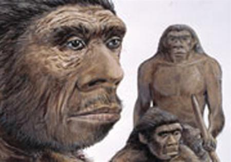 Where Did Humans Come From? Study Challenges Singular Origin Theory Of Evolution