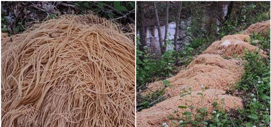 hundreds-of-pounds-of-cooked-pasta-dumped-in-new-jersey-forest