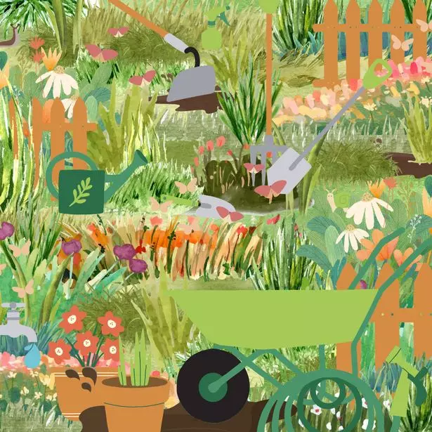 Can You Find The Hidden Insects?