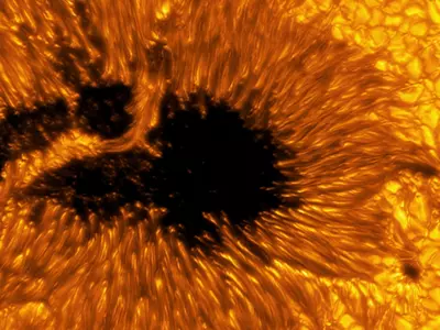 Earth's Most Powerful Solar Telescope Shows Sunspots In Mind-Numbing Detail