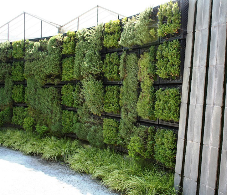 Vertical Herb Garden
