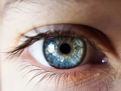 Breakthrough Gene Therapy Reverses Vision Loss In Humans, Study Finds