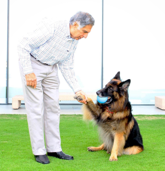 सच में आयकॉन हैं रतन टाटा: बीमार Pet Dog के साथ रहने के लिए किंग चार्ल्स से अवॉर्ड लेने नहीं गए