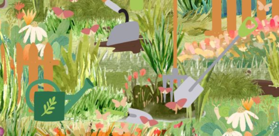 Can You Find The Hidden Insects?