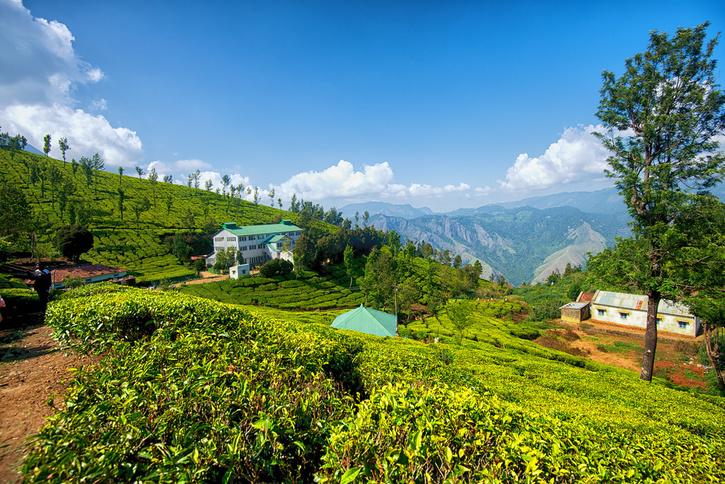 Kolukkumalai - Sip Tea Grown On World's Highest Altitude And Enjoy Best ...