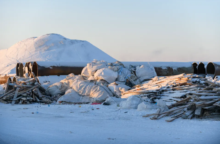 A pile of garbage offers an optical illusion: five hungry arctic foxes in search of food