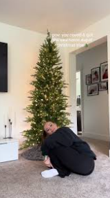 https://im.indiatimes.in/content/2023/Nov/Color-changing-Home-Depot-Christmas-Tree-Goes-Viral-On-Tiktok_6548c0226228b.png