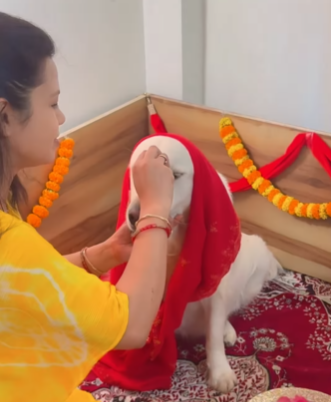 Desi Pet Parents Hosted a Baby Shower for Golden Retriever