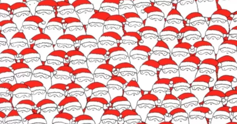 Find the sheep hidden among Santa