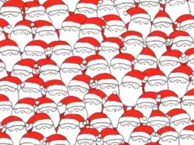 Find The Sheep Hidden Among The Santa