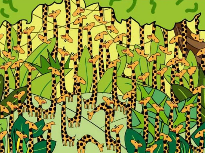 Here you have an optical illusion test, in which you will have to detect the cunning snake that is hiding among the giraffes.