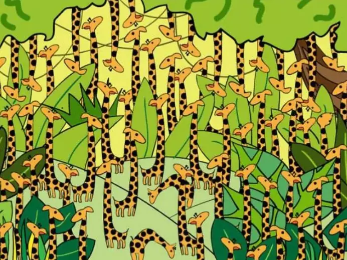 Optical Illusion: Test Your Observation Skills By Spotting The Sneaky Snake Among The Giraffes