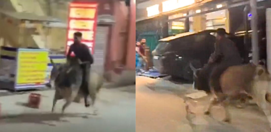  Intoxicated Man's Bull Ride in Rishikesh 