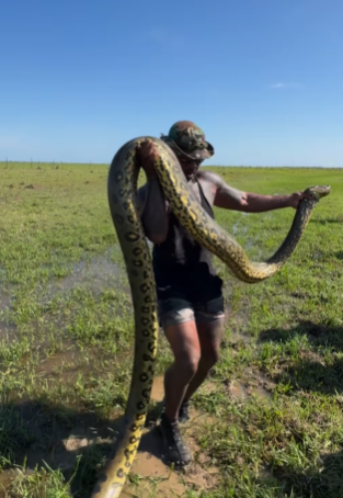 Man Grabs Live Anaconda With Bare Hands