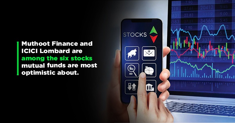 Six Most Wanted Stocks Of 2023 Mutual Funds Have Been Most Optimistic About