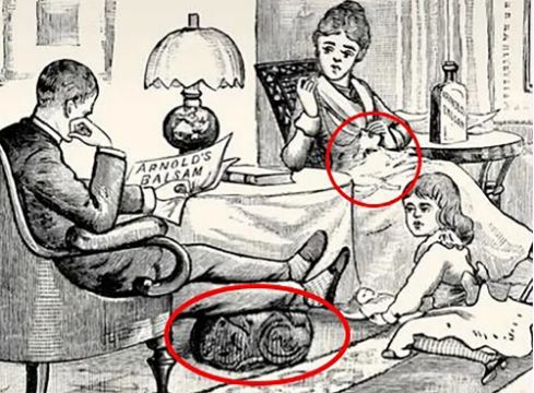 Intelligence test with optical illusion Find the hidden cats