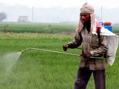 Madhya Pradesh Farmers