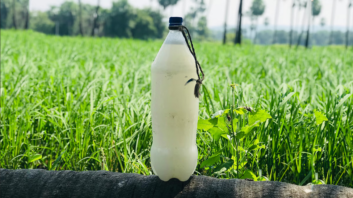 Top 7 Desi Liquor Brands in India Desi Daru Famous Brands