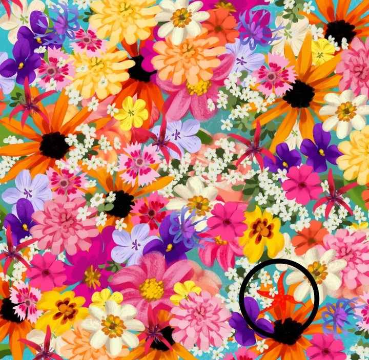 Find the star hidden among the flowers