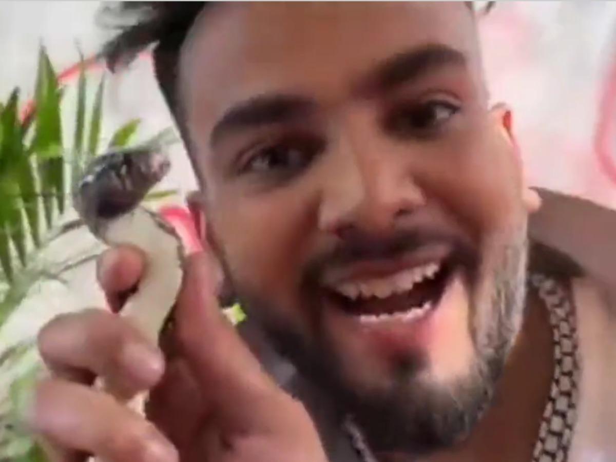 Elvish Yadav Case: How Dangerous Is Snake Venom Drug; Here's Everything