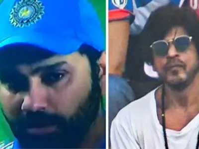 Celebrities Shower Love On Indian Cricket Team After Loss Against Australia In World Cup Final