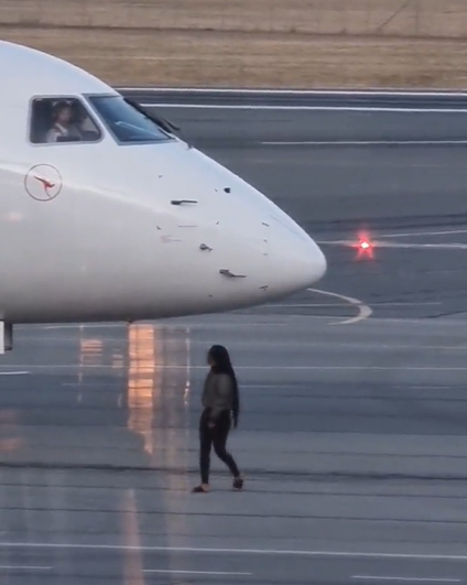 Woman misses flight and runs to the tarmac to board the plane