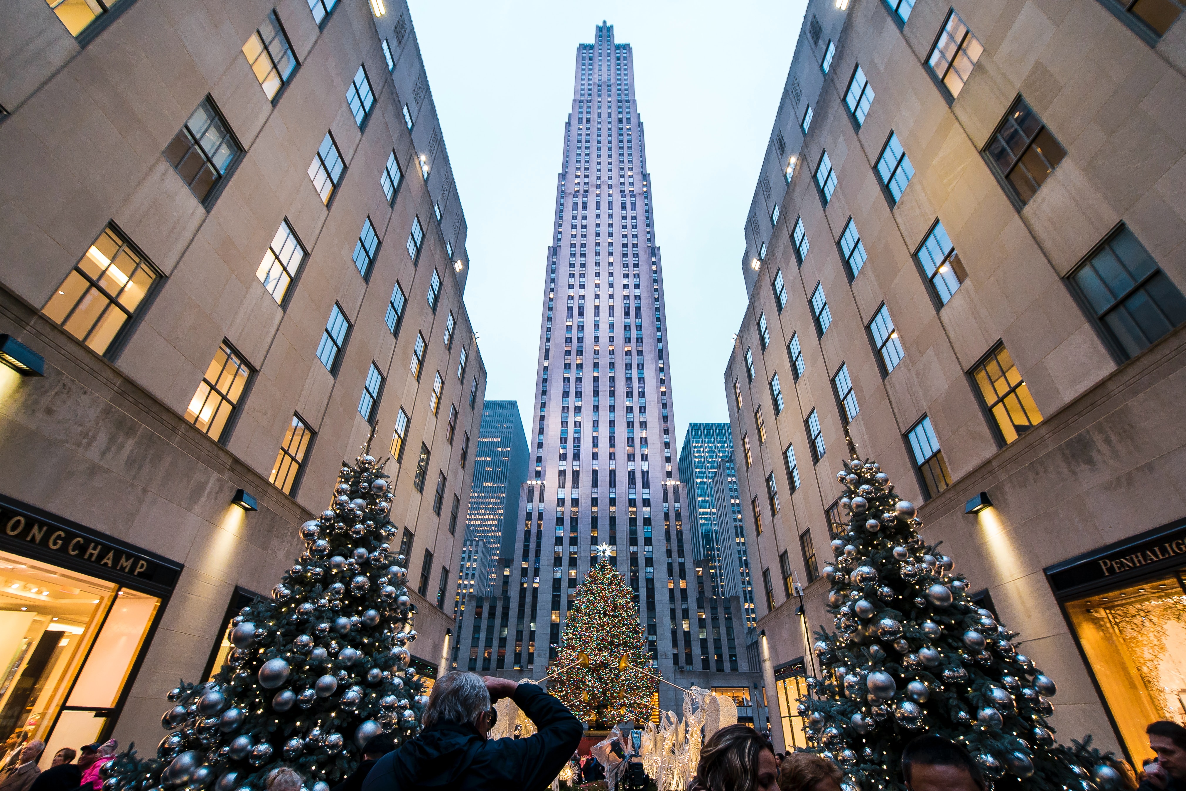 Rockefeller Center tree 2023: This year's pick is from Binghamton area