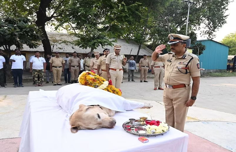 maharashtra bomb squad dog shaan farewell