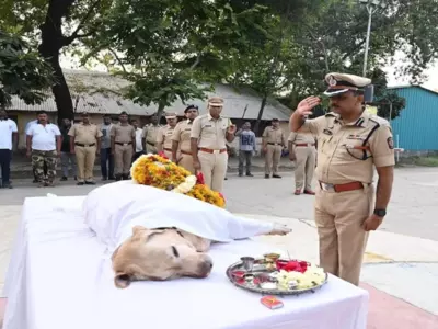 maharashtra bomb squad dog shaan farewell