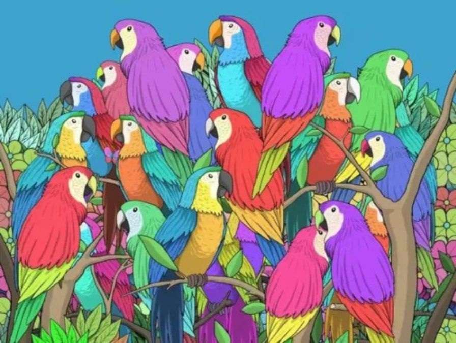 Find the butterfly hidden among the parrots