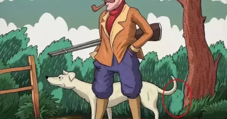 Spot The Hidden Rabbit In This Optical Illusion