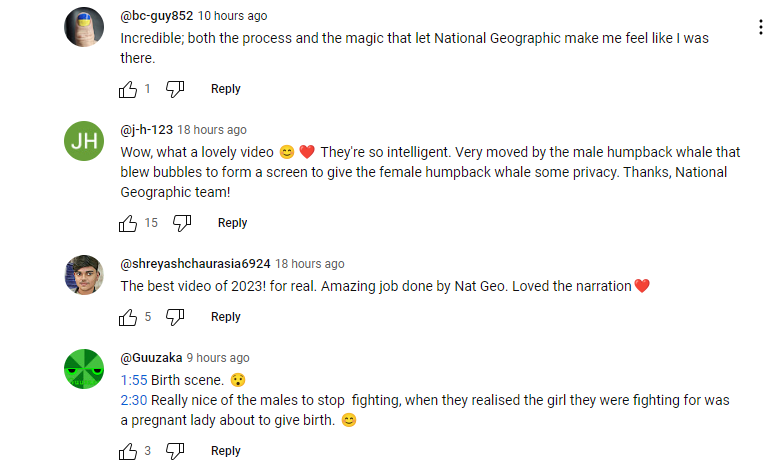 Humpback Whale Giving Birth Gets Captured On Video For The First Time