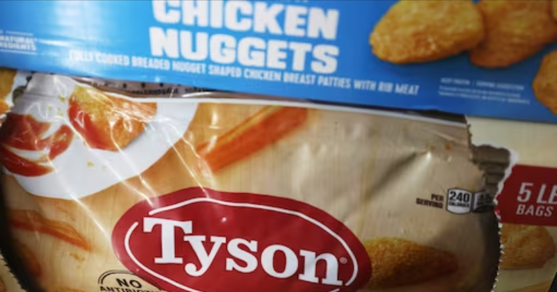 Over 13,000 Kg Chicken Nuggets Recalled By Popular US Brand After Metal ...