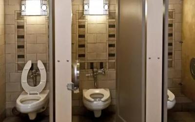 The reason why toilet seats are U-shaped in public bathrooms but aren't at  home – and it's to do with hygiene – The US Sun