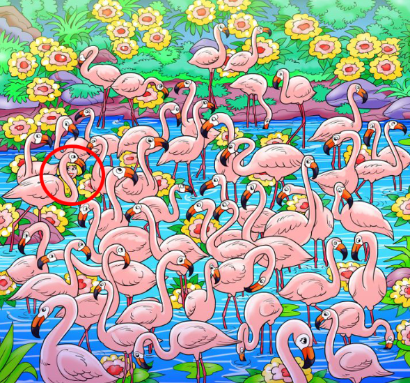 Among the flock of flamingos, find the missing girl in this viral optical illusion