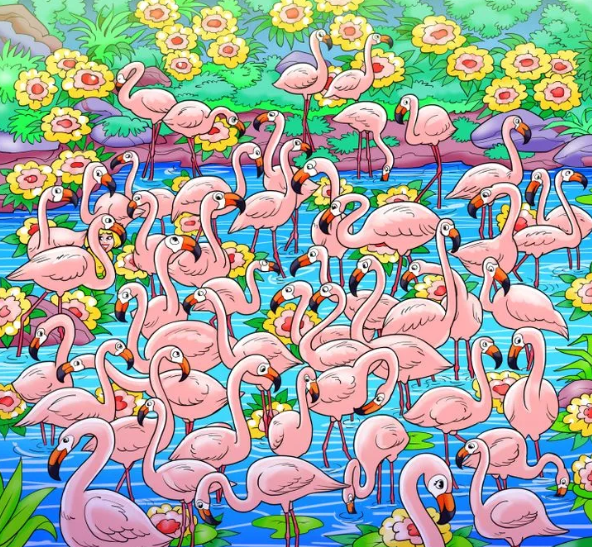 Among the flock of flamingos, find the missing girl in this viral optical illusion