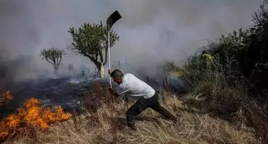 As a summer forest fire reignites in Tenerife, thousands of people are evacuated