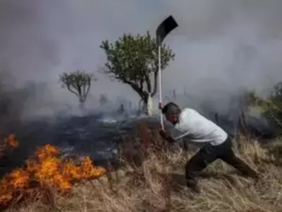As A Summer Wildfire Re-ignites On Tenerife, Thousands Of People Are Evacuated