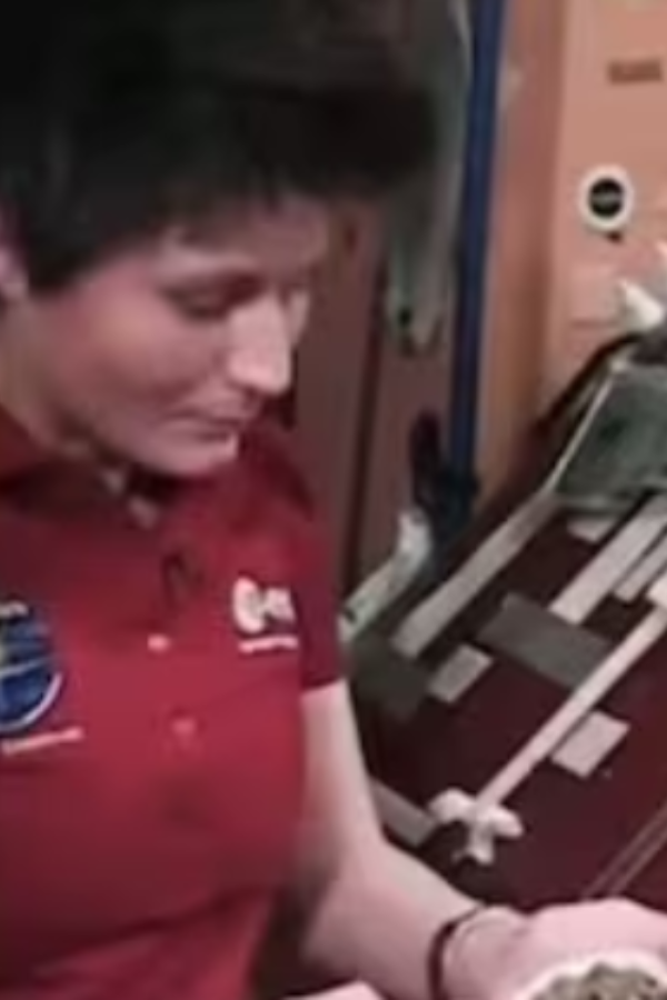 Astronaut Prepares Tortilla In Space 