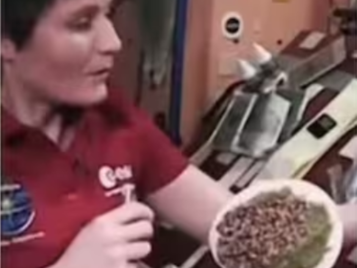 Astronaut Prepares Tortilla In Space 