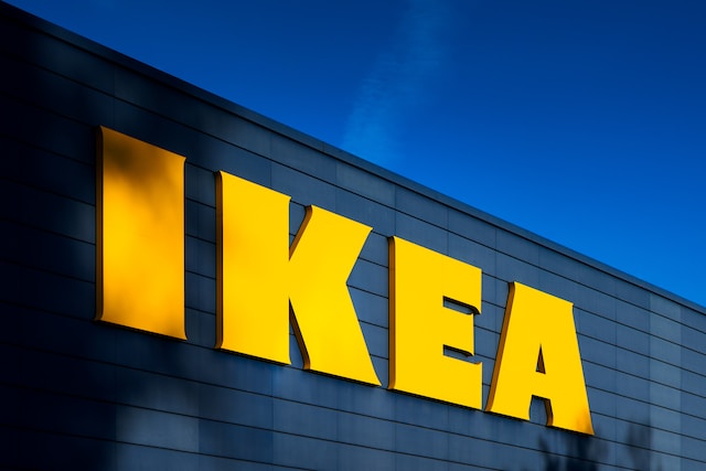 Bengaluru Woman Wins Rs 3,000 For Rs 20 Carry Bag After Suing IKEA 