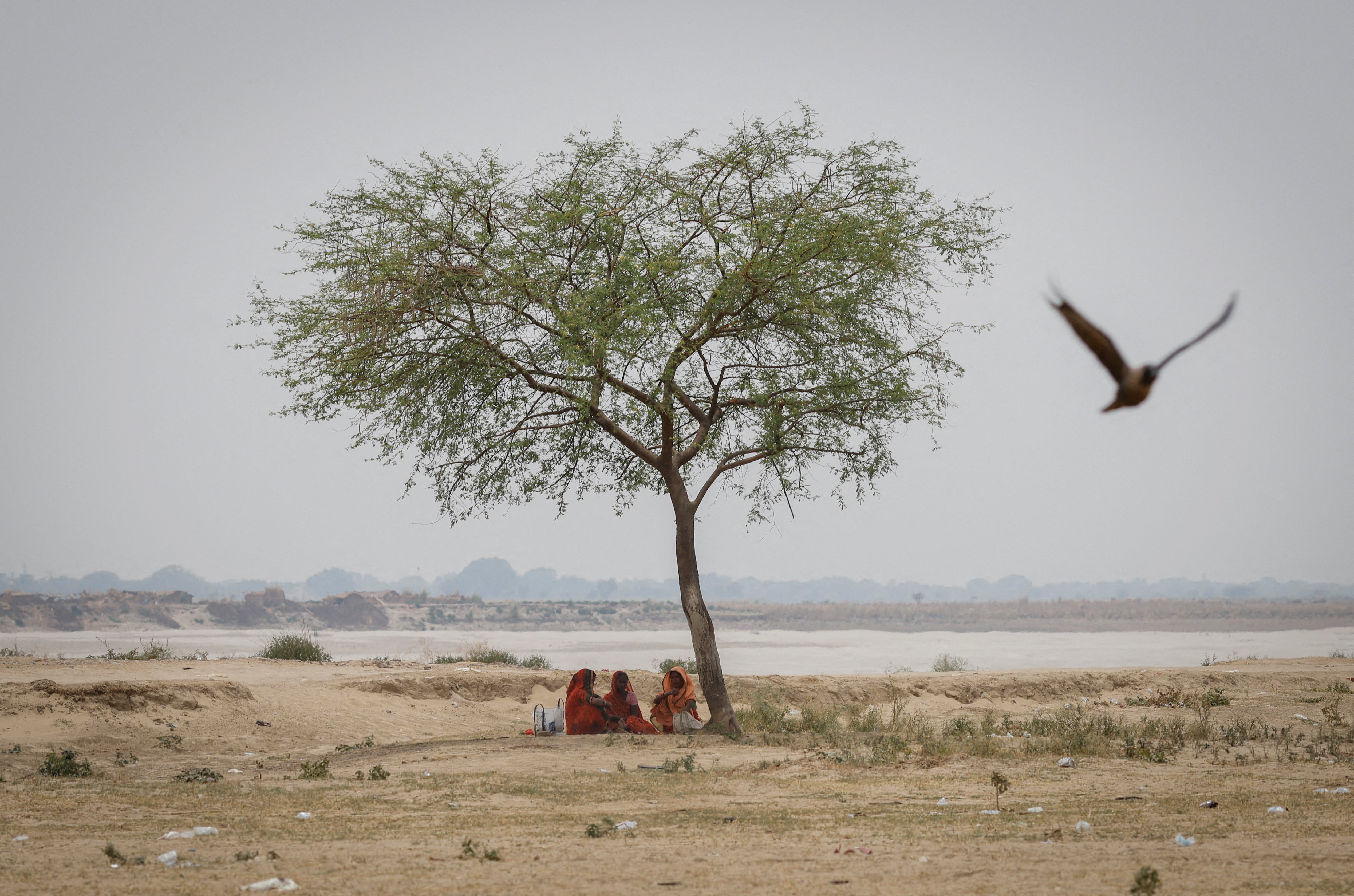 2.2 billion people in India and the Indus Valley could be exposed to heat-related health risks due to climate change