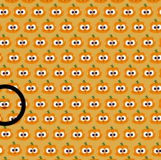 See If You Can Find The Glamorous Pumpkin Among The Normal Ones In This Viral Optical Illusion 