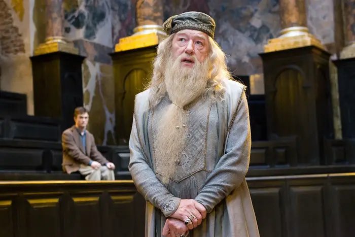 Dumbledore Dumbledore