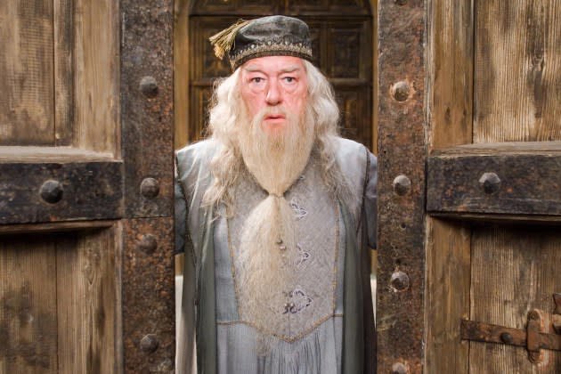 Dumbledore Dumbledore