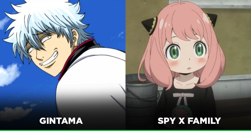 gintama x spy family